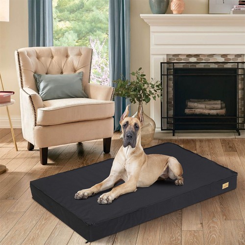 Jumbo large orthopedic dog - large,